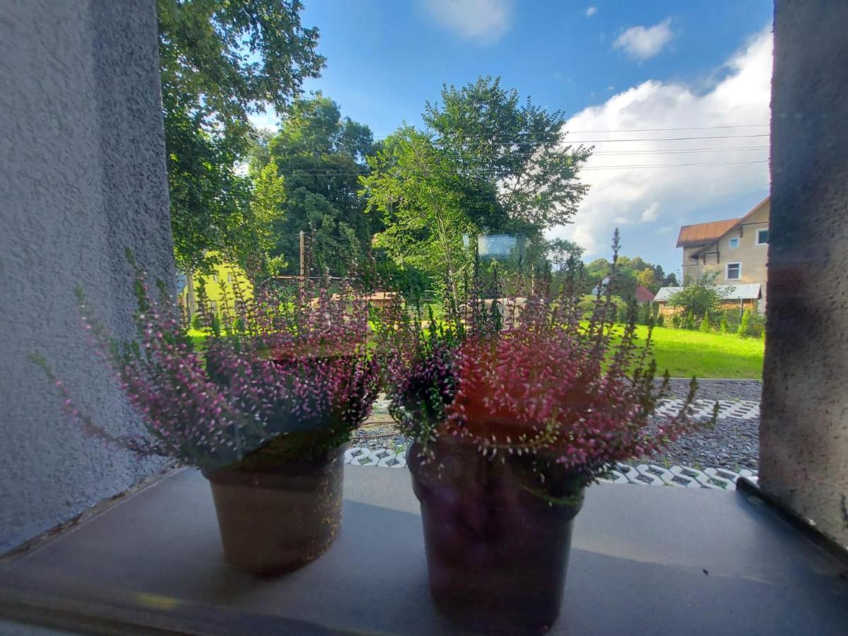Bryziowka B Villa Miłków Екстериор снимка